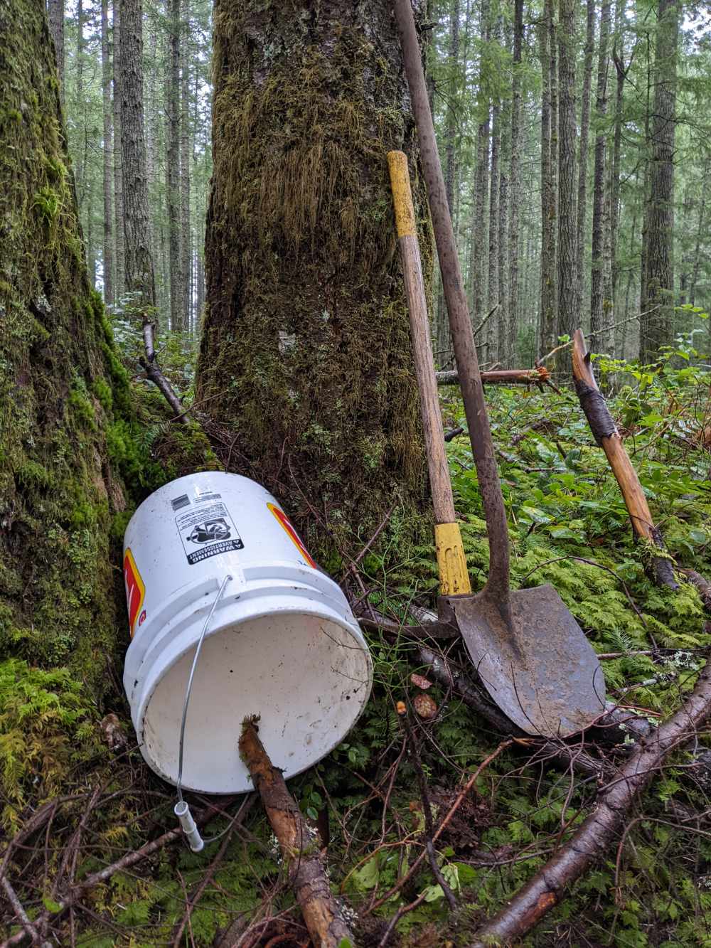Tools In the Forest